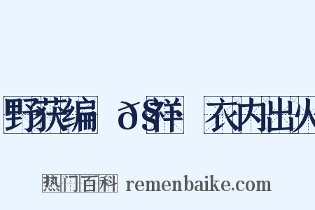 野获编·𧗒祥·衣内出火是什么意思的图片